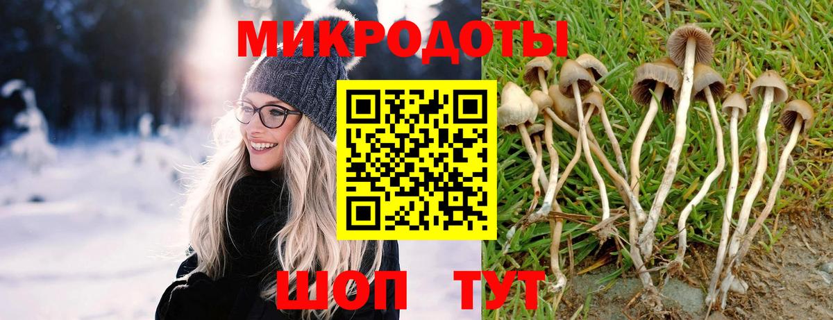 Калуга  Галлюциногенные грибы Magic Shrooms  Вход с VPN 