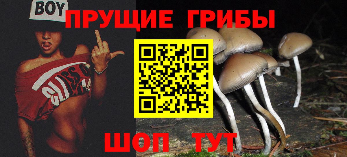 Псилоцибиновые грибы мицелий Калуга